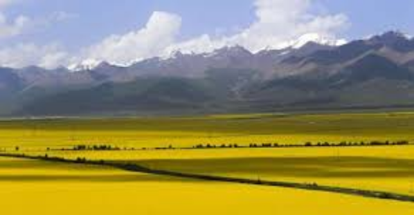 互聯(lián)網(wǎng)裝修