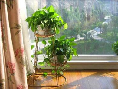 家具裝修，人們常犯三個(gè)的錯(cuò)誤！