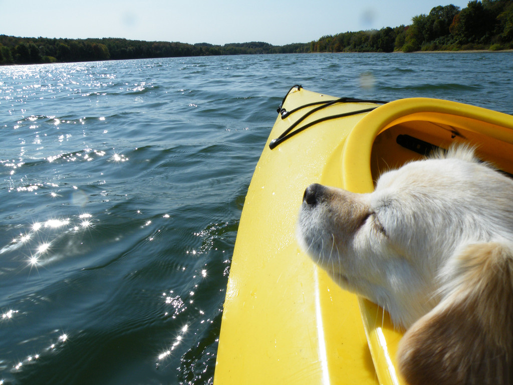 微信移動(dòng)辦公：不當(dāng)傳話筒，當(dāng)解決問題小能手